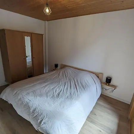 Appartement Renove Proche Centre Ville Navette 6-8 Personnes Multipass Chatel Exterior photo