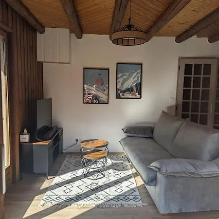 Appartement Renove Proche Centre Ville Navette 6-8 Personnes Multipass Chatel Exterior photo
