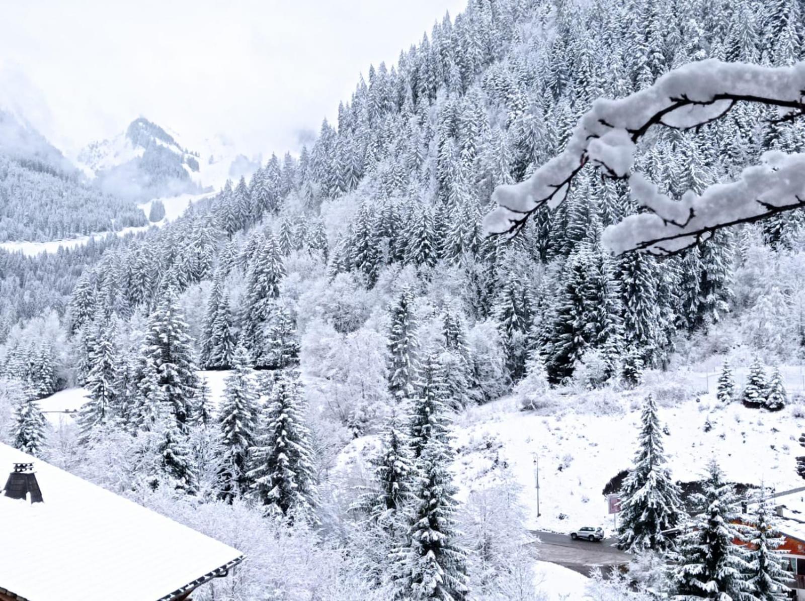 Apartment Renove Proche Centre Navette 6-8 Personnes Multipass Chatel
